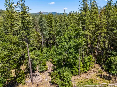 6324 Dickinson Rd, Placerville, CA 95667 photo 21