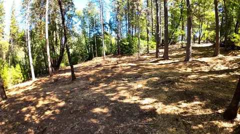 6324 Dickinson Rd, Placerville, CA 95667 photo 31