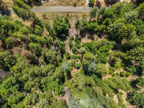 6324 Dickinson Rd, Placerville, CA 95667 photo 20
