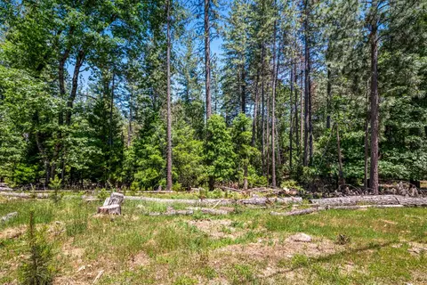 6324 Dickinson Rd, Placerville, CA 95667 photo 12