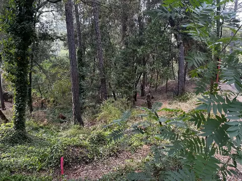 14745 River Trl, River Pines, CA 95675 photo 31