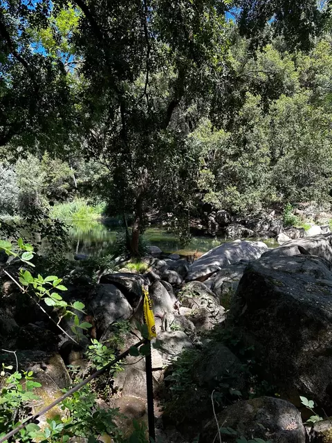 14745 River Trl, River Pines, CA 95675 photo 7