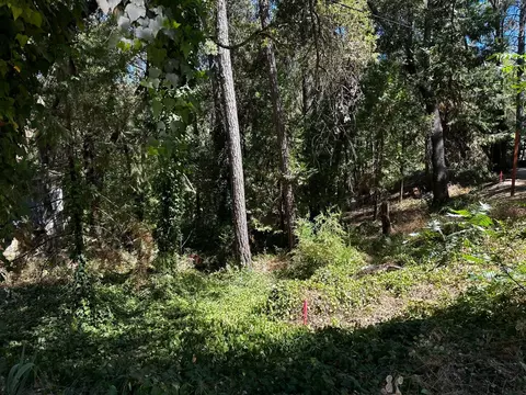 14745 River Trl, River Pines, CA 95675 photo 14