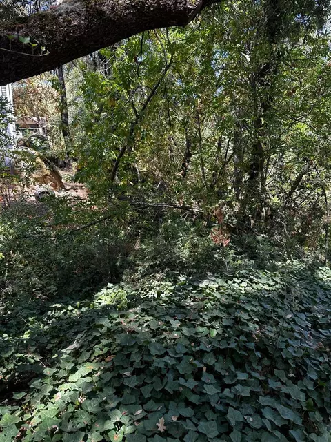 14745 River Trl, River Pines, CA 95675 photo 8
