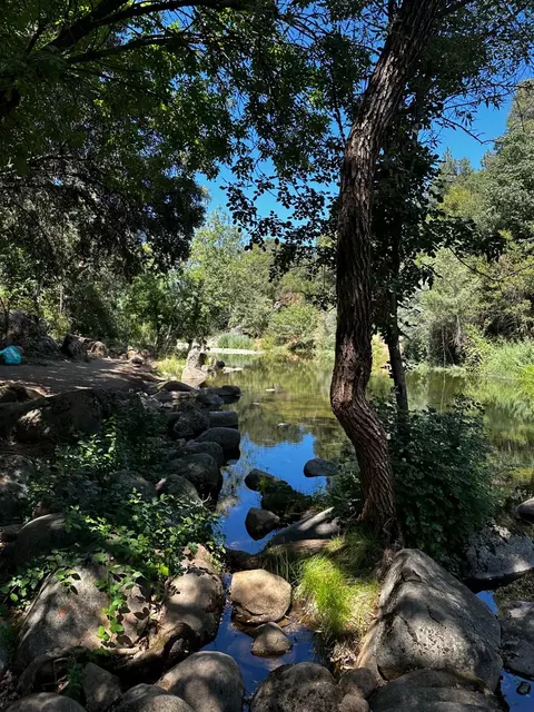 14745 River Trl, River Pines, CA 95675 photo 6