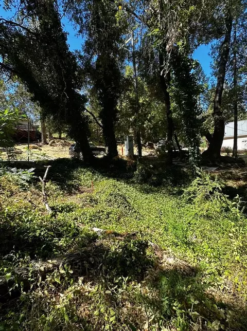14745 River Trl, River Pines, CA 95675 photo 12