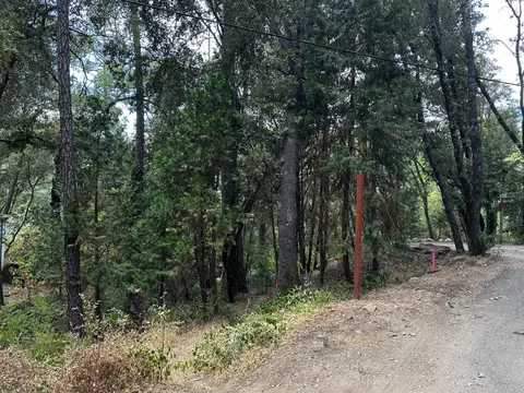 14745 River Trl, River Pines, CA 95675 photo 32