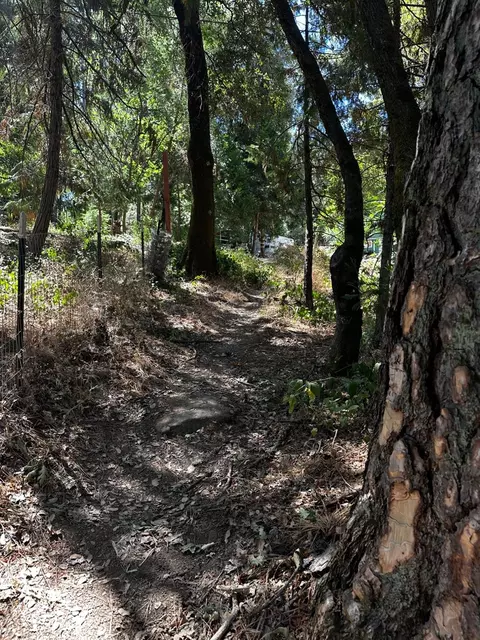 14745 River Trl, River Pines, CA 95675 photo 9