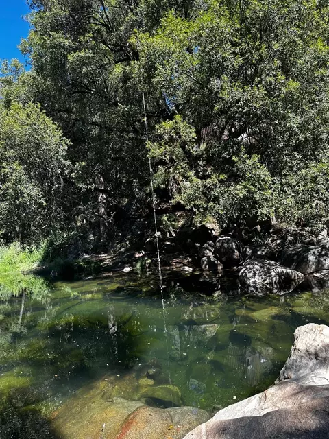 14745 River Trl, River Pines, CA 95675 photo 3