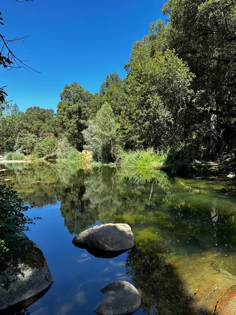 14745 River Trl, River Pines, CA 95675 photo 2