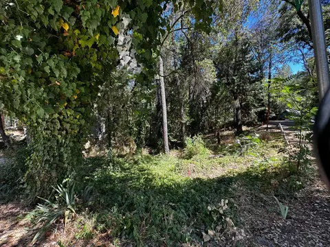 14745 River Trl, River Pines, CA 95675 photo 13
