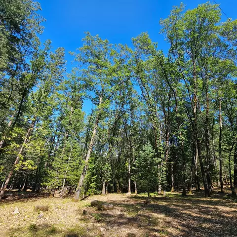 15367 Lakewood Ln, Grass Valley, CA 95945