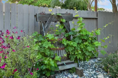 Exterior - 235 La Monte Ln, Tracy, CA 95377 photo 6 of 7