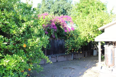 Exterior - 1210 Michelle Ave, Tracy, CA 95376 photo 7 of 11