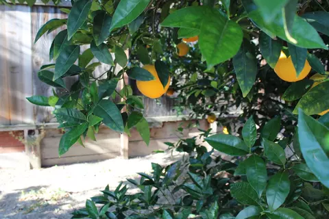 Other - 1210 Michelle Ave, Tracy, CA 95376 photo 7 of 7