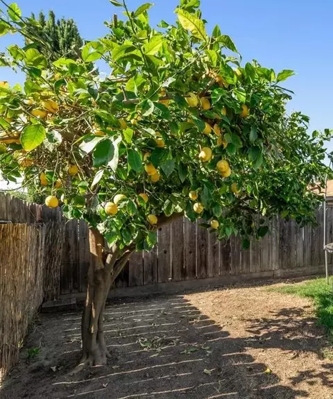 Exterior - 2216 Venus Dr, Ceres, CA 95307 photo 5 of 9