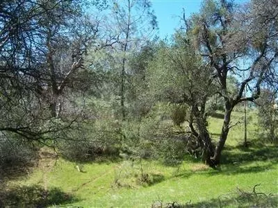 6866 Mosquito Rd, Placerville, CA 95667 photo 3