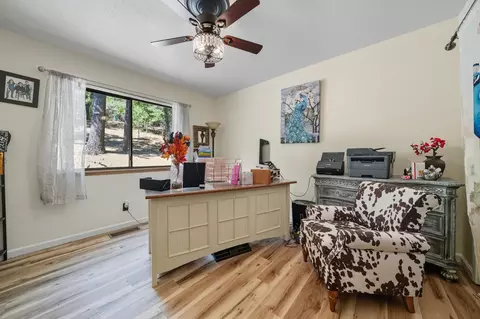 Other - 13900 Pine Park Loop, Pine Grove, CA 95665 photo 6 of 6