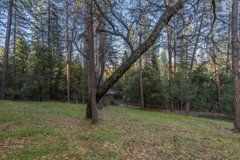 Exterior - 13900 Pine Park Loop, Pine Grove, CA 95665 photo 5 of 5