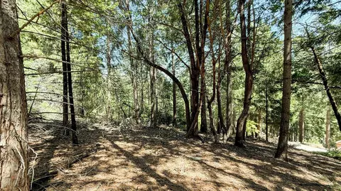 18910 Circle Vw, Pioneer, CA 95666