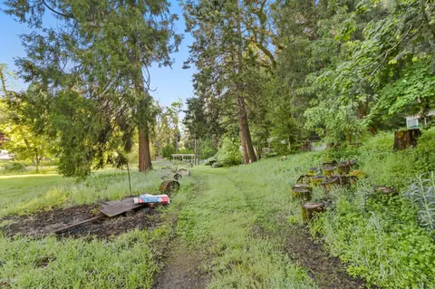 4641 Meadland Dr, Placerville, CA 95667 photo 36