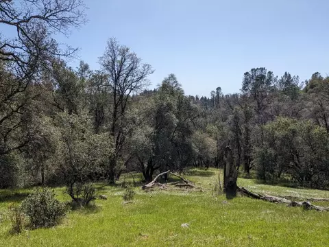 15255 Devon Ct, Auburn, CA 95603 photo 5