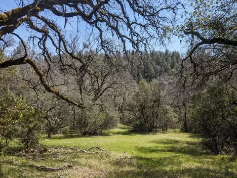 15255 Devon Ct, Auburn, CA 95603 photo 8