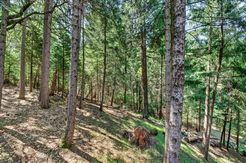 Exterior - 4340 Fairglade Rd, Placerville, CA 95667 photo 11 of 11