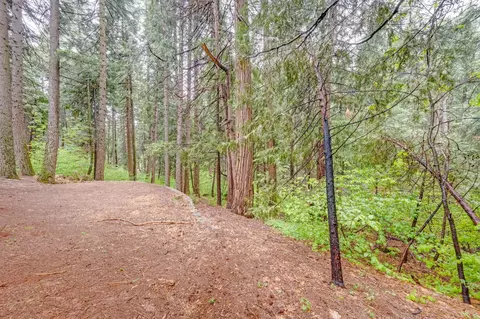 Other - 7184 Pine Cone Dr, Pollock Pines, CA 95726 photo 7 of 10