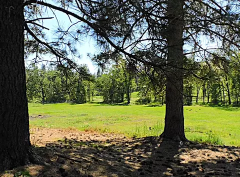 4360 Pleasant Valley Rd, Placerville, CA 95667 photo 73