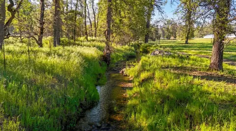 4360 Pleasant Valley Rd, Placerville, CA 95667 photo 8