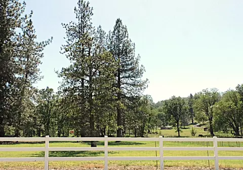 4360 Pleasant Valley Rd, Placerville, CA 95667 photo 69