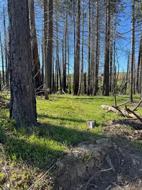 7601 Forest Glen Dr, Grizzly Flats, CA 95636