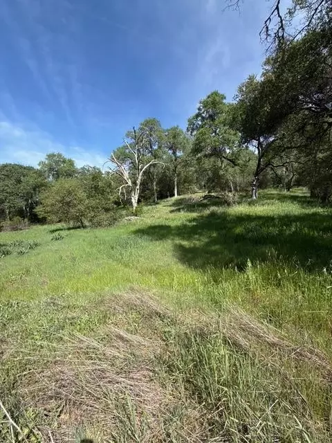 0 Mirinda Ln, Cool, CA 95614 photo 2