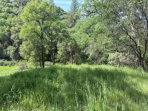 0 Mirinda Ln, Cool, CA 95614 photo 3