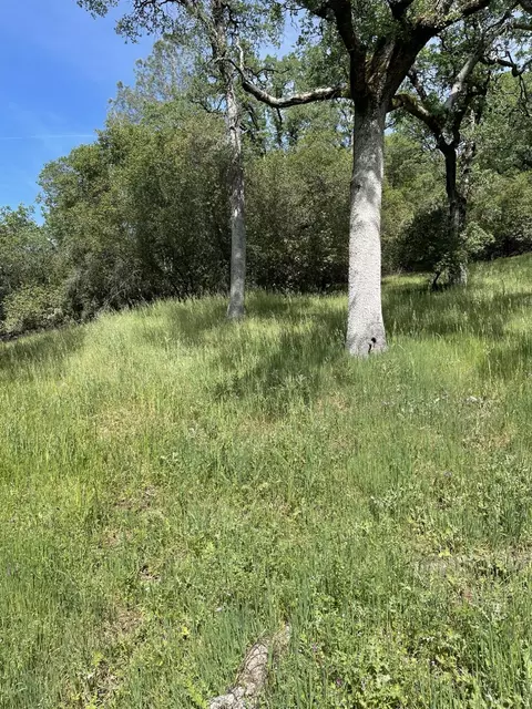 0 Mirinda Ln, Cool, CA 95614 photo 9