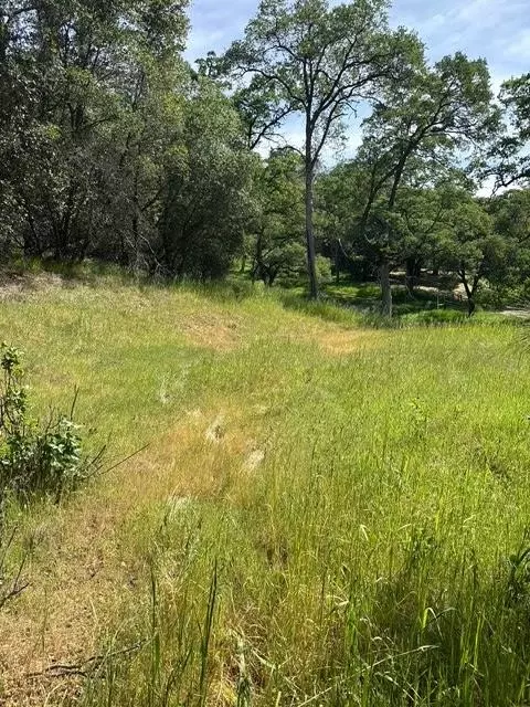 0 Mirinda Ln, Cool, CA 95614 photo 5