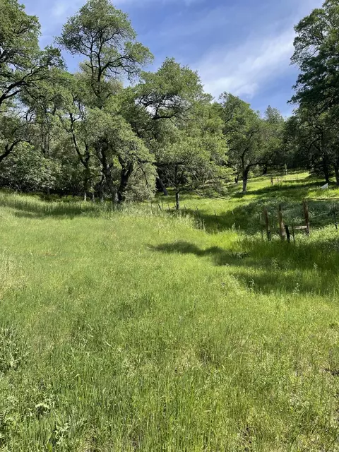 0 Mirinda Ln, Cool, CA 95614 photo 10
