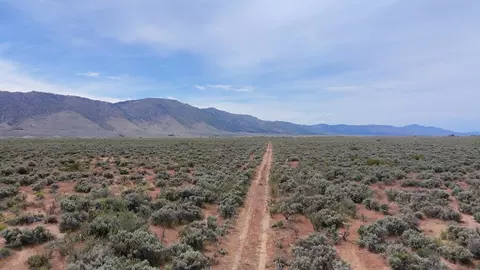 446 Honey Lk, Herlong, CA 96113