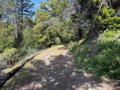 Exterior - 22460 Canyon Way, Colfax, CA 95713 photo 22 of 29