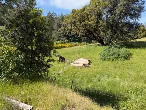 Other - 22460 Canyon Way, Colfax, CA 95713 photo 19 of 20