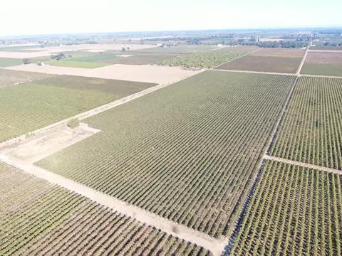 931 W Sargent Rd, Lodi, CA 95242 photo 3
