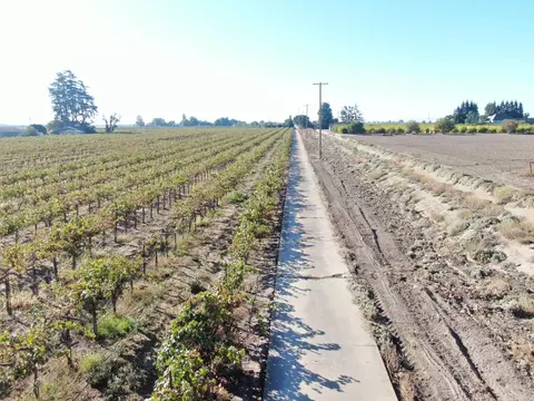 931 W Sargent Rd, Lodi, CA 95242 photo 6