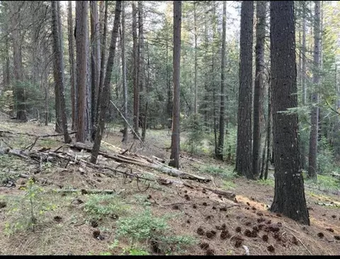 30115 N Bloomfield-graniteville Rd, Nevada City, CA 95959