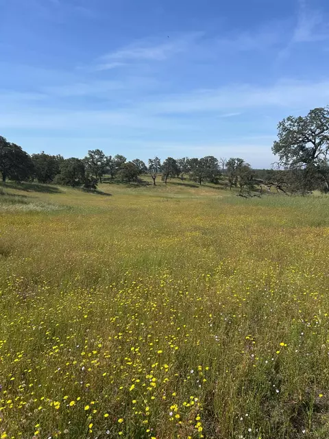 0 Matthews Rd, Wheatland, CA 95692