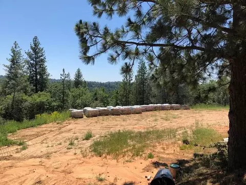 3401 Fullmoon Dr, Placerville, CA 95667 photo 15