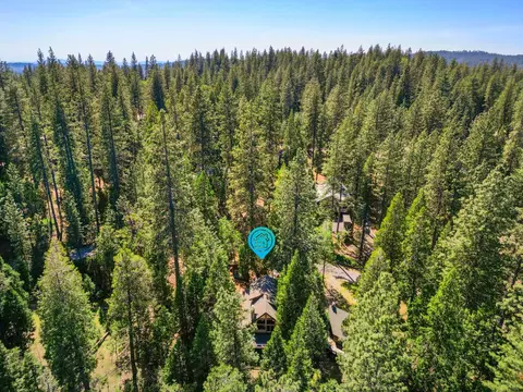 2503 Monetier Dr, Arnold, CA 95223 photo 43