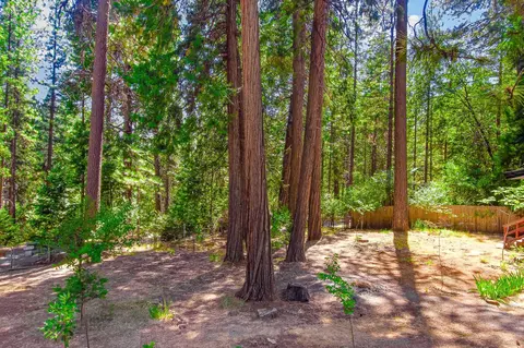 6148 Red Robin Rd, Placerville, CA 95667 photo 24