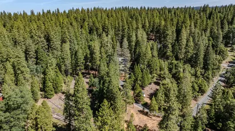 View/Area - 25733 Aspen Ct, Volcano, CA 95689 photo 8 of 12