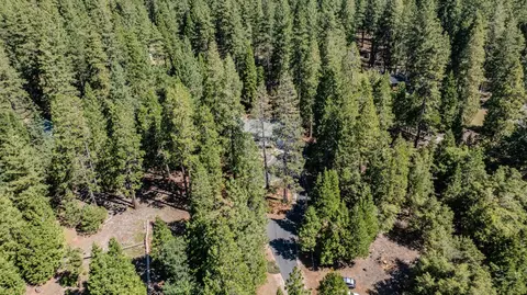 View/Area - 25733 Aspen Ct, Volcano, CA 95689 photo 9 of 12